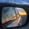 morganlorenz845